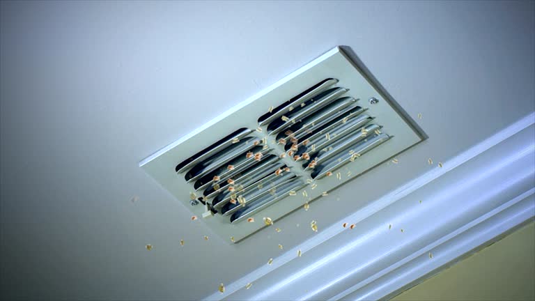 Best Commercial HVAC Duct Cleaning  in Biscoe, NC