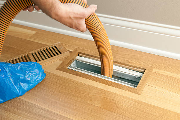 Best Dryer Vent Cleaning Services  in Biscoe, NC