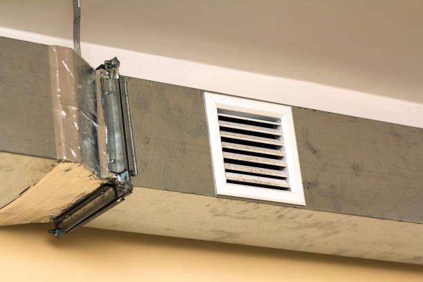 Best Air Duct Mold Removal  in Biscoe, NC